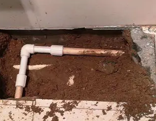 普陀测漏水哪家好