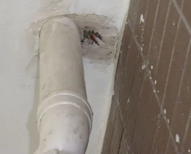 普陀漏水检测哪家好